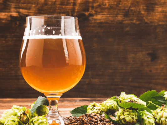 Levaduras para elaborar tus IPAs