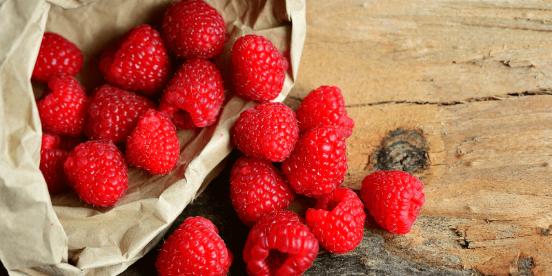 Receta Cervecera, Frambuesa del Sur Receta Cervecera, Frambuesa del Sur Dorada