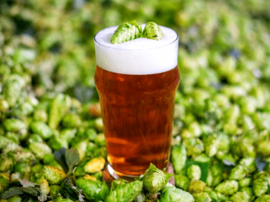 CIBART, al rescate de la IPA