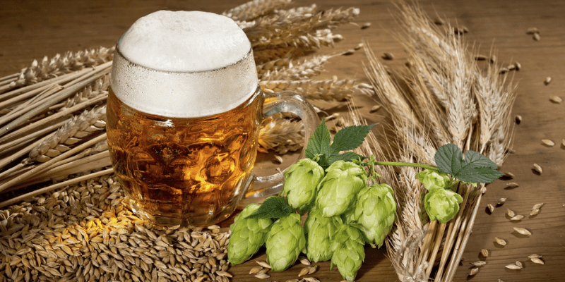 CIBART, al rescate de la IPA! Lúpulo para cerveza ipa