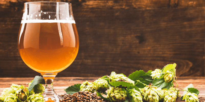 Lúpulos para IPA