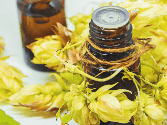 Por qué utilizar Extractos de Lúpulo