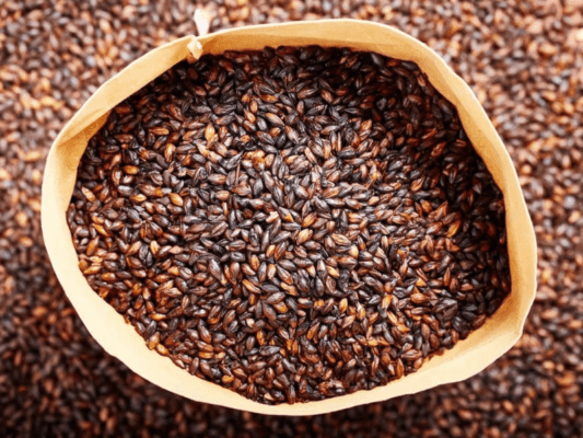 Maltas Bestmalz, un salto de calidad para tu Cerveza