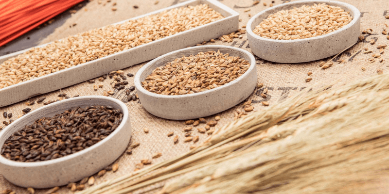 Maltas Bestmalz, un salto de calidad para tu Cerveza Maltas Bestmalz