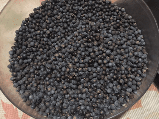 Enebro, del Bolsón a tu Destilador