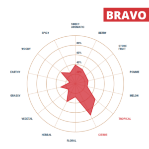 Lúpulo Bravo x 454 grs Yakima Chiefs Lúpulo Bravo Yakima Chiefs