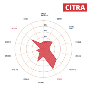 Lúpulo Citra x 1 Kg Yakima Chiefs Lúpulo Citra x 1 Kg - Yakima