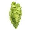Lúpulo Citra x 5 Kg - Yakima Chiefs
