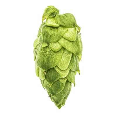 Lúpulo Citra x 5 Kg - Yakima Chiefs
