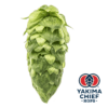 Lúpulo American Noble Simcoe x 5 Kg - Yakima Chiefs