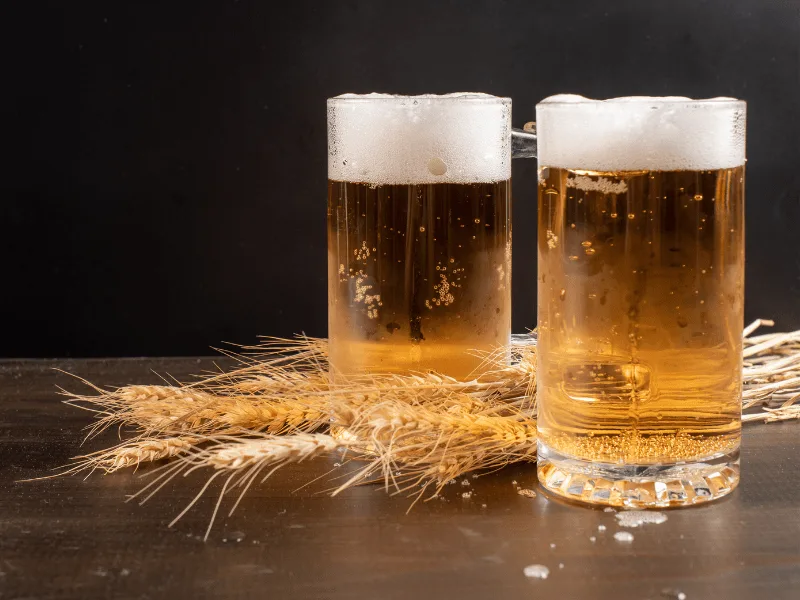 Hacé cerveza en 20 minutos!