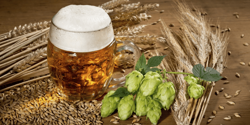 IPA Day Cerveza Artesanal IPA Day Cerveza Artesanal
