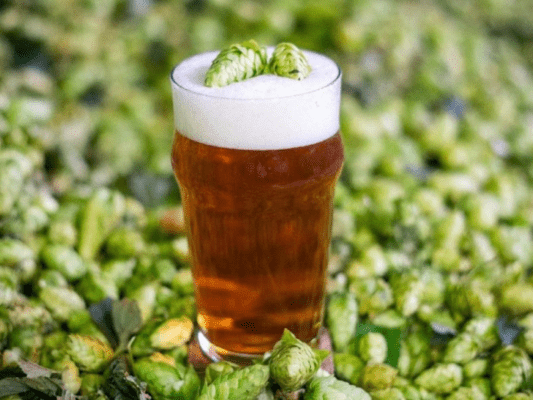 IPA Day, cuándo y por qué se celebra