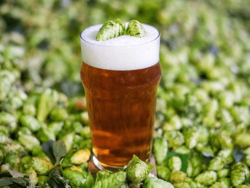 IPA Day, cuándo y por qué se celebra IPA Day, cuándo y por qué se celebra