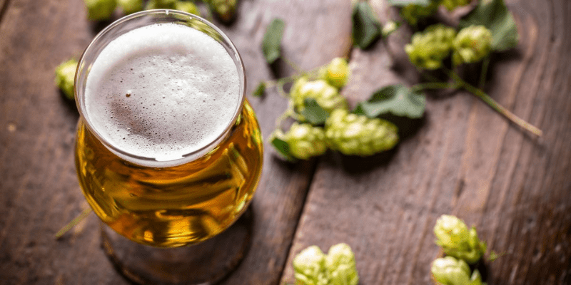 IPA Day IPA Day