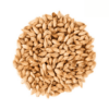 Malta Maris Otter x 1 Kg - Pauls Malt