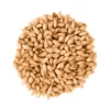 Malta Maris Otter x 1 Kg Pauls Malt Malta Maris Otter x 1 Kg - Pauls Malt