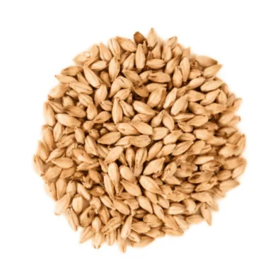 Malta Maris Otter x 1 Kg - Pauls Malt