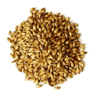 Malta Shell Shocker Caramelo 120L x 1 Kg - Pauls Malts