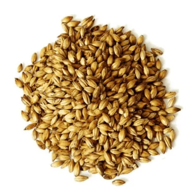Malta Shell Shocker Caramelo 120L x 25 Kg - Pauls Malt