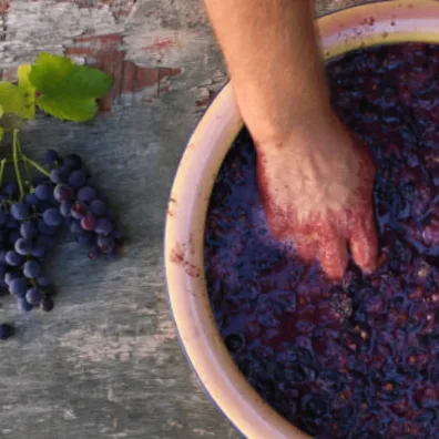 Vino