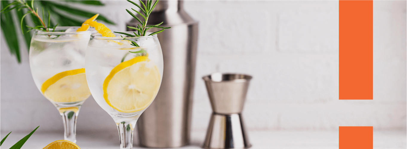 Slider Curso de Gin Artesanal