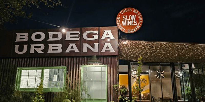 Experiencia Sensorial de Vino Slow Wines