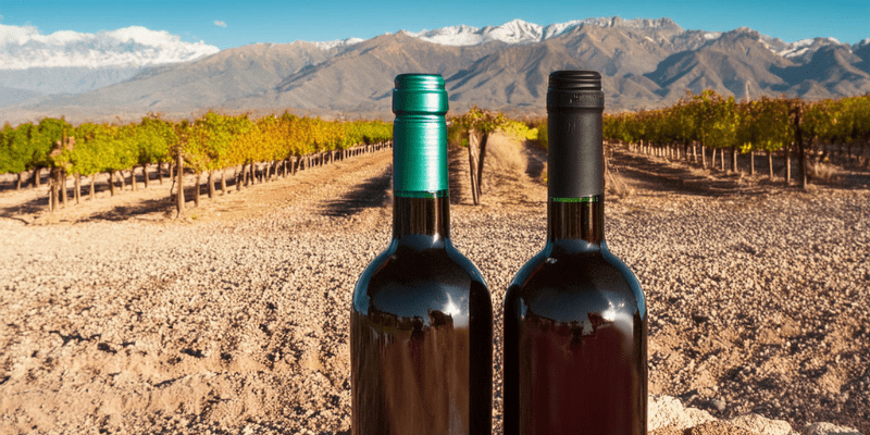 Botellas de Vino de 750 cl Botellas de Vino de 750 cl