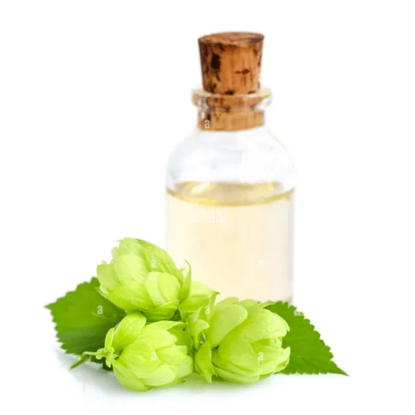 Extracto Natural Lúpulo Cascade x 1 Kg Extracto Natural Lupulo Cascade x 1 kg