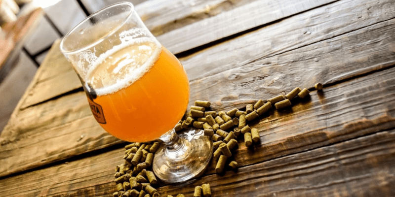 Cerveza Ipa Argenta Cerveza Ipa Argenta