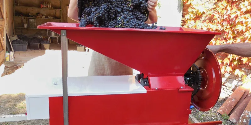 Despalillado y Estrujado de la Uva para la Elaboración de Vino Despalillado y Estrujado de la Uva para la Elaboración de Vino
