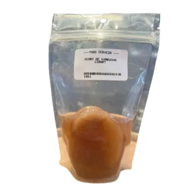 Scoby de Kombucha