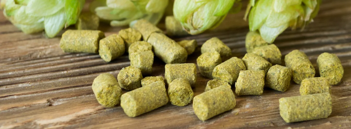 Lúpulo Simcoe Hopsteiner