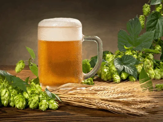 ¿Para que sirve el Lúpulo en la Cerveza? ¿Para que sirve el Lúpulo en la Cerveza?