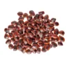 Tamarindo en Semillas x 250 grs Tamarindo en Semillas x 250 grs