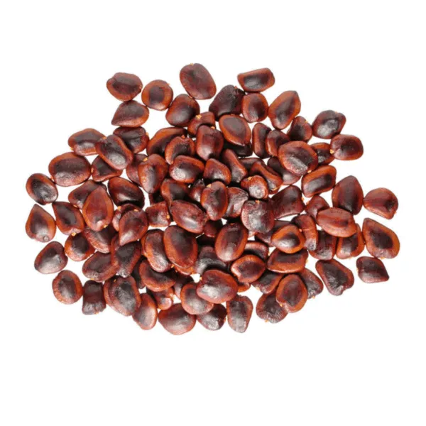 Tamarindo en Semillas x 250 grs