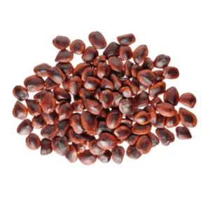 Tamarindo en Semillas x 50 grs