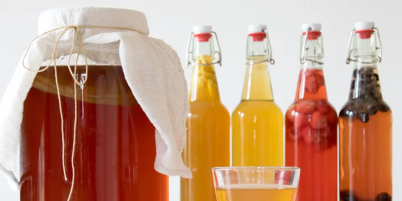 Beneficios de la kombucha Beneficios de la kombucha