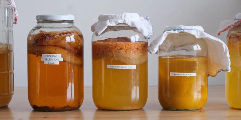Qué es la kombucha y para qué sirve Qué es la kombucha y para qué sirve