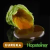 Lúpulo Salvo Eureka Extracto x 1 Kg Lúpulo Salvo Eureka Extracto x 1 Kg