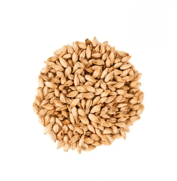 Malta Pale Ale x 5 Kg Bestmalz Malta Pale Ale x 5 Kg Bestmalz