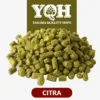 Lúpulo Citra x 5 Kg Yakima Quality Cosecha 2025 Lúpulo Citra x 5 Kg Yakima Quality Cosecha 2025