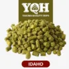 Lúpulo Idaho x 5 Kg Yakima Quality Cosecha 2025 Lúpulo Idaho x 5 Kg Yakima Quality Cosecha 2025