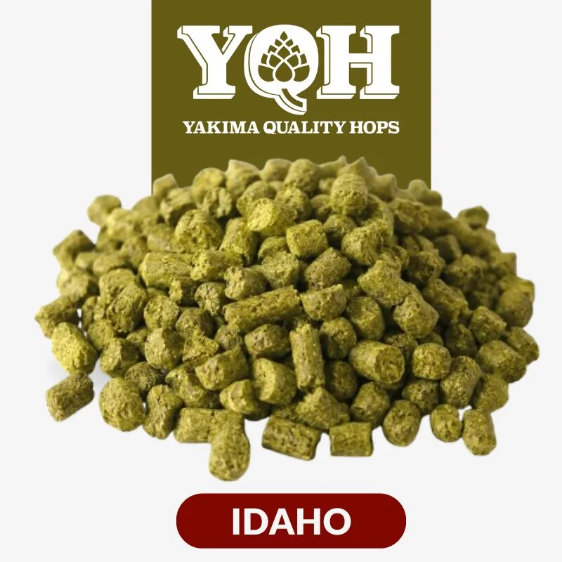Lúpulo Idaho x 5 Kg Yakima Quality Cosecha 2025 Lúpulo Idaho x 5 Kg Yakima Quality Cosecha 2025