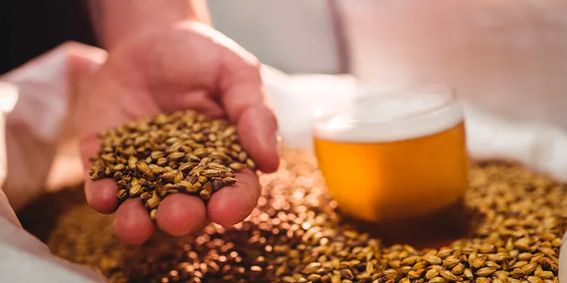 Cómo hacer step mash según tu equipo (sin volverte loco)