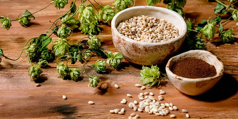 Sustituto de lúpulo: guía profesional para mantener aroma, amargor y coste de producción Cómo ajustar la cantidad al cambiar de lúpulo