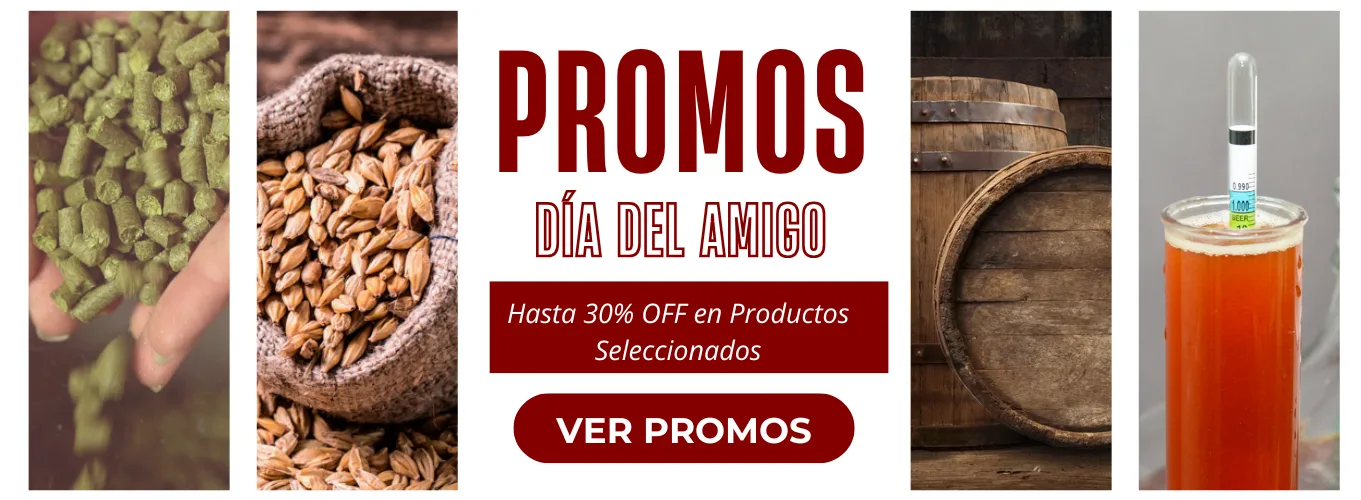 Inicio