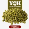 Lúpulo Fuggle x 5 Kg Yakima Quality Cosecha 2024