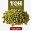 Lúpulo Golding x 5 Kg Yakima Quality Cosecha 2024