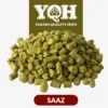 Lúpulo Saaz USA x 5 Kg Yakima Quality Cosecha 2025